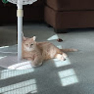 Meet your Posher, Judy